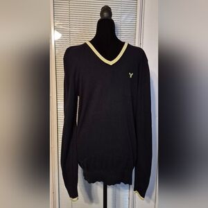 Americian Eagle Outfitters Navy Blue And Lime Green V-Neck Sweater